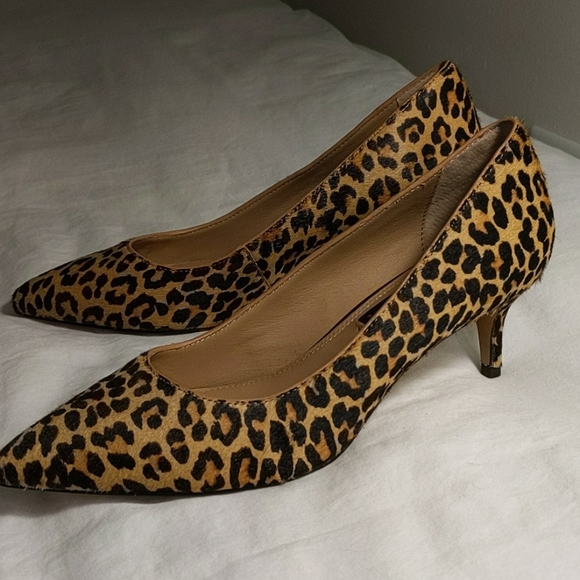 leopard heels steve madden